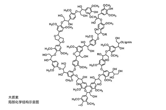 木質素局部化學結構示意圖