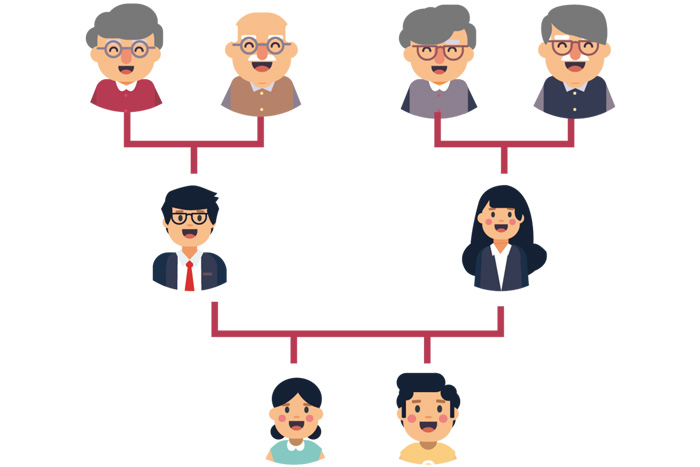 家譜維系家族成員之間聯系